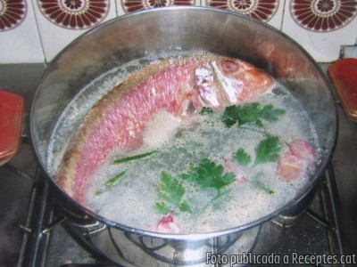 Moll de roca o roger bullit amb all i julivert